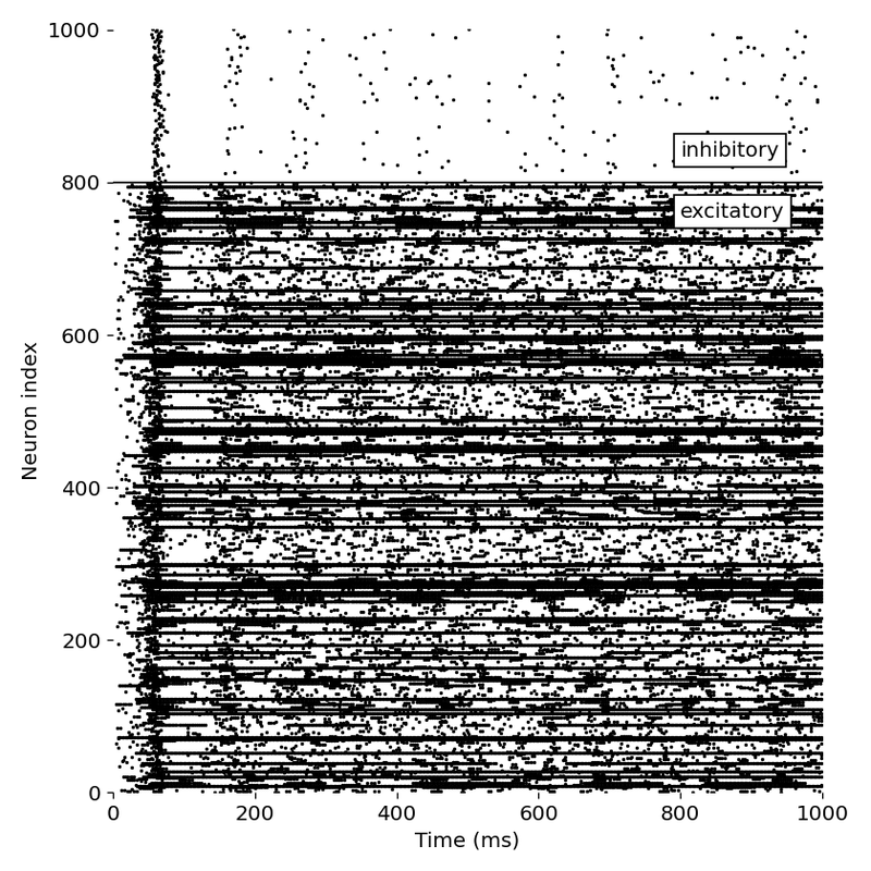 Spike events of each neuron in the network as a function of time in response to different neuron types combinations: IB and IB  with synaptic connectivity S4.